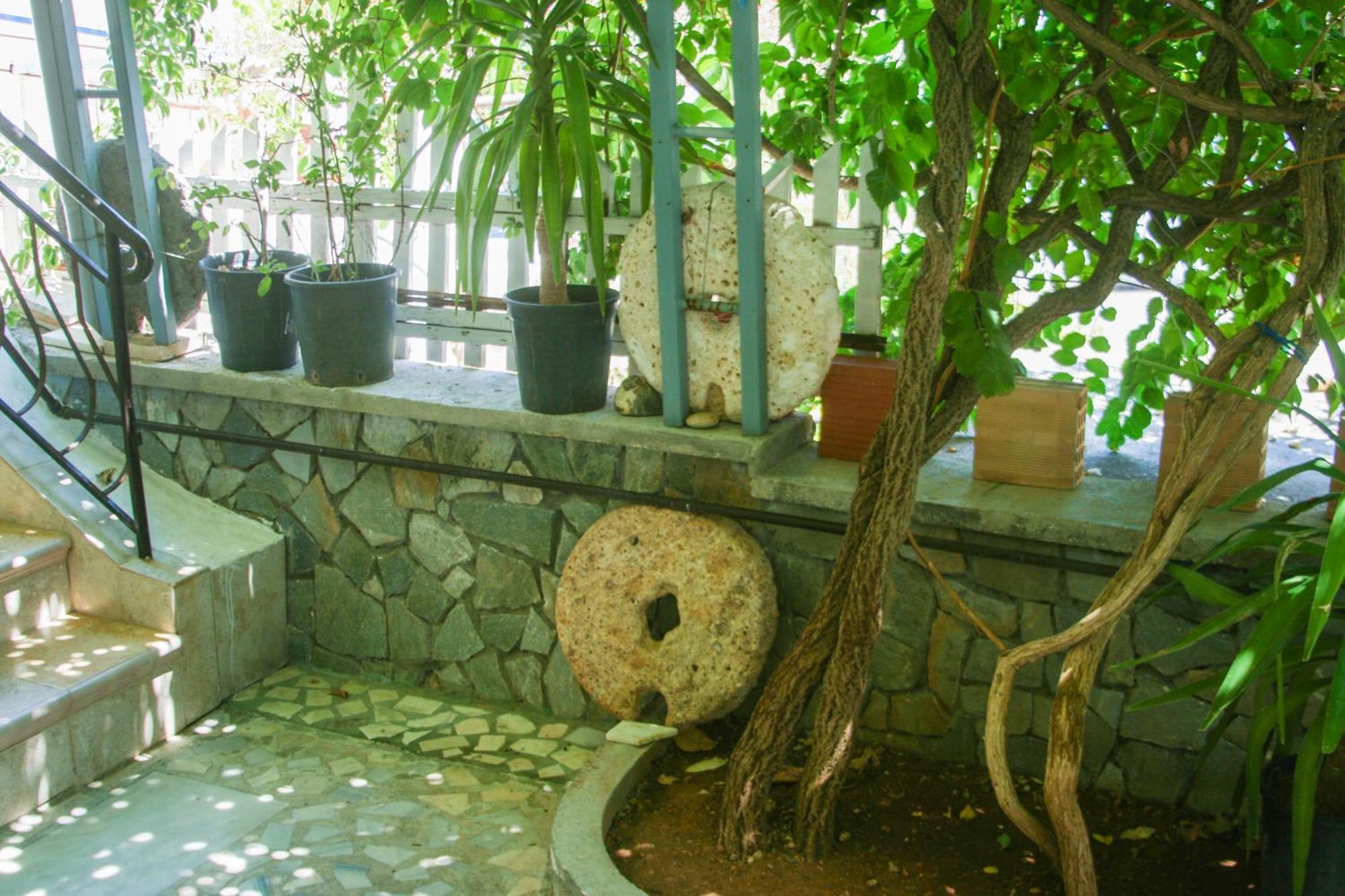 George Apartments Livadia (Tilos) Exterior foto
