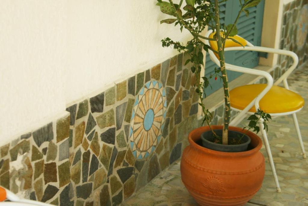 George Apartments Livadia (Tilos) Exterior foto